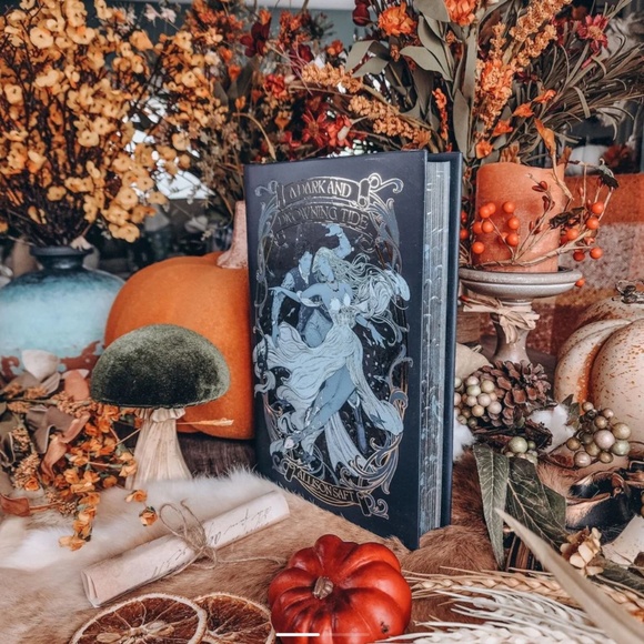 A Dark and Drowning Tide by Allison Saft- Illumicrate Special Edition - Picture 3 of 4